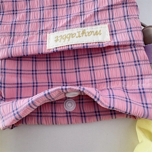 Detail of pink and blue plaid seersucker bag with embroidery and resin snap closure