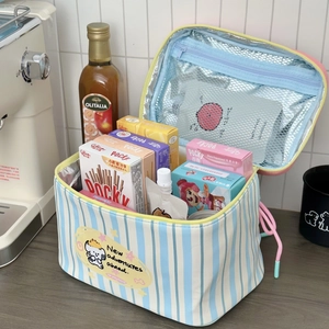 Blue striped insulated lunch bag with cartoon design for outdoor picnics and camping