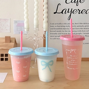 Reusable Plastic Straw Cup With Lid Frosted Drinking Water Tumbler For Cold Coffee Tea Travel Portable Korean Ins Style