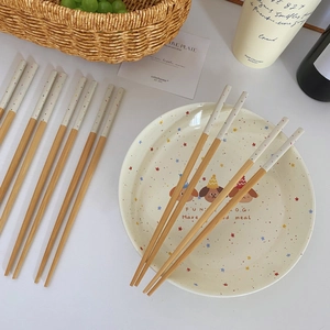 Bamboo chopsticks and ceramic plate with cartoon dog prints in a cozy dining set