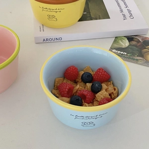 Detail of colorful ceramic dog bowl filled with oatmeal and berries on white table