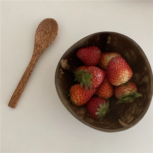Natural handmade coconut shell bowl set with wooden spoon for salad and fruit