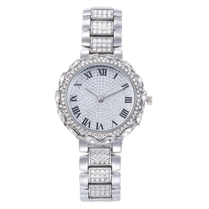 Macro detail of silver alloy watch face with floral rhinestones and Roman numerals