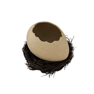 Creative eggshell dessert bowl with natural bird nest base for artistic tableware display