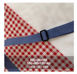 Detail of adjustable blue woven strap and black plastic buckle on red gingham bag