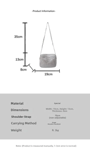 Detailed dimension guide for silver rhinestone mini bag showing 19x13x8cm size