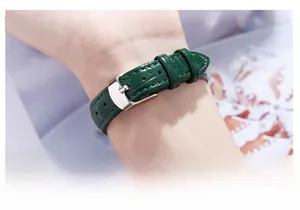 Macro shot of dark green crocodile pattern leather strap with polished silver buckle