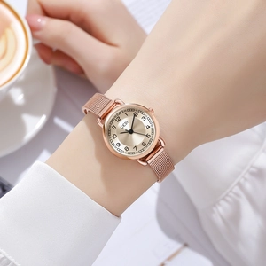 Montre élégante pour femme en or rose avec bracelet en maille et cadran rond à chiffres