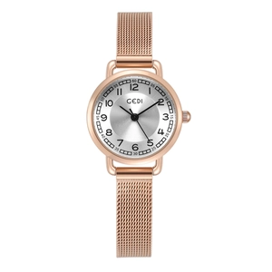 Montre quartz femme or rose avec cadran argenté et bracelet en acier maillé