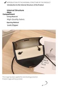 Interior view of small square shoulder bag showing main compartment and metal lock closure