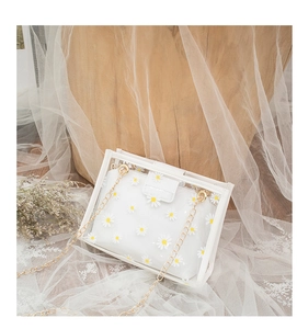 Detail of transparent PVC crossbody bag with daisy prints and gold metal chain strap