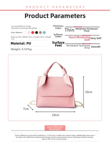 Detailed size specifications for pink small square bag with chain and bow handle