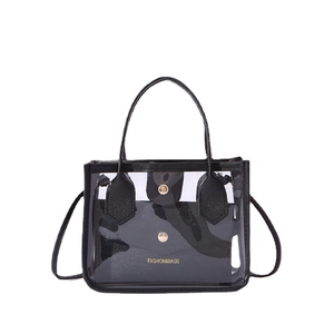 Clear PVC handbag with black leather trim and internal pouch on white background