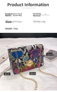 Detailed size specifications and view of the multi-color snakeskin chain bag