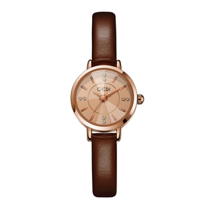 Minimalist GEDI round gold watch for women with brown leather strap and crystal dial