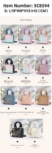 Detailed grid showing 19x8x15cm multi-color gradient and embroidered mini tote bags