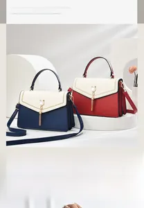 Detail of color-block crossbody bag featuring pearl cat-ear charm and metallic tassels