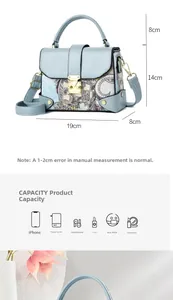 Detailed capacity chart showing a blue paisley pattern handbag measuring 19x14x8cm