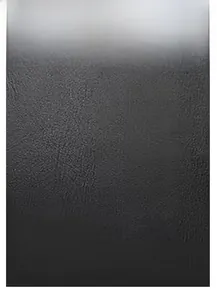 Close-up showing the premium black crocodile skin texture and embossed scale pattern