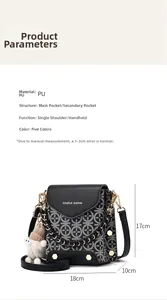 Detailed view of the mini crossbody bag with dimensions showing 18x17x10cm size