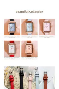 Detail showing five color variations of rectangular quartz watches with leather straps