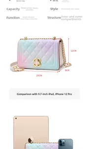 Detailed view of rainbow gradient chain bag with clover lock and size dimensions