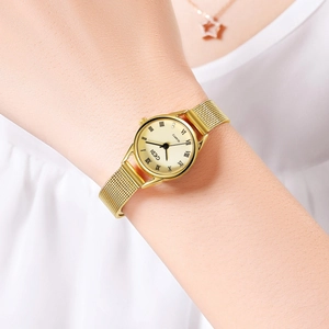 Elegant gold mesh band watch with small Roman numeral dial worn on a female wrist