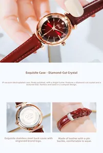 Détail du cadran rouge avec verre taillé diamant et finition en or rose poli