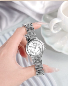 Elegant silver steel watch with Roman numeral dial and date window on white satin