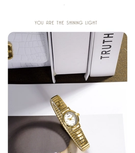 Detail of GEDI gold oval watch with flexible metallic chain band on lifestyle background