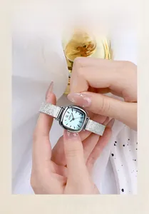 Detail of silver mesh band women's square watch with mint green dial and steel case