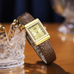Women Rectangular Quartz Watch Waterproof Vintage Elegant Alloy Case Leather Strap Roman Numerals Small Square Face Ladies
