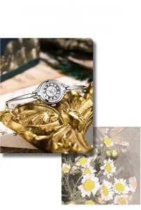 Detail of silver vintage bracelet watch with roman numerals on retro gold frame