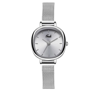 Elegant silver mesh strap watch for women with minimalist oval dial and stainless steel finish