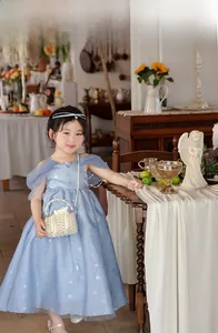 Detail of sweet blue girls dress with silver sequins and a pearl woven handbag
