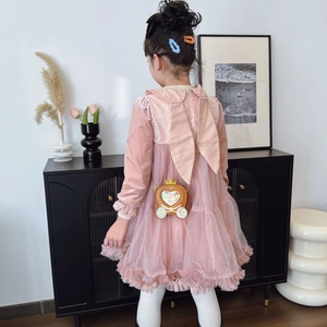 Rosa Prinzessinnen-Tüllkleid mit Samtmieder und süßer Kürbiswagen-Schultertasche