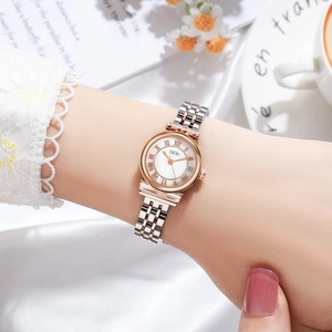 Close-up of elegant ladies' watch with Roman numerals and two-tone steel strap on wrist