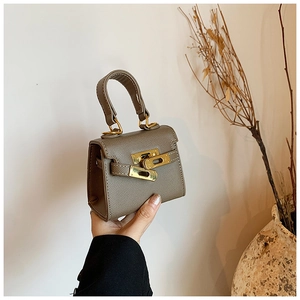 Vue détaillée d'un mini sac à main en cuir gris avec fermoir rotatif doré élégant