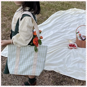 Detail of light green gingham canvas bag for kids on a picnic grass background