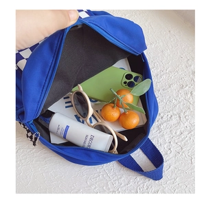 Internal view of blue checkerboard backpack showing storage capacity for daily items