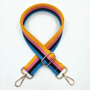 Detail eines bunten Regenbogen-Baumwoll-Taschenriemens mit goldener Hardware und Schnalle
