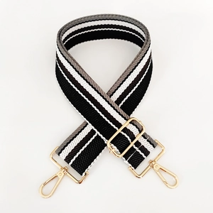 Nahaufnahme gestreifter Taschenriemen mit goldenen Metallkarabinern und Verstellschnallen