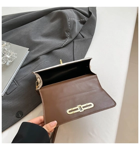 Detail of crossbody bag showing brown interior lining and golden metal buckle closure
