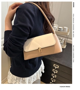 Close-up of minimalist shoulder bag with contrast flap and golden metal buckle