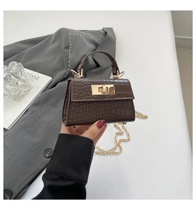 Detailed close-up of brown crocodile texture material and gold metal clasp on mini bag