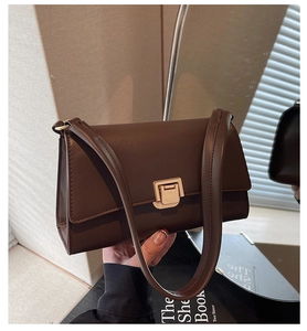 Detailed view of dark brown leather baguette bag with elegant golden metallic buckle