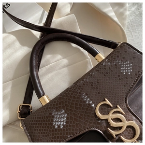 Macro view of dark brown faux snake skin texture and gold metal buckle on a handbag