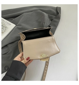 Détail d'un petit sac beige avec fermoir doré sur une veste de costume grise