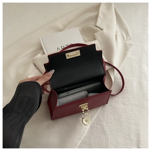 Detail view of burgundy leather handbag interior capacity with golden metal lock