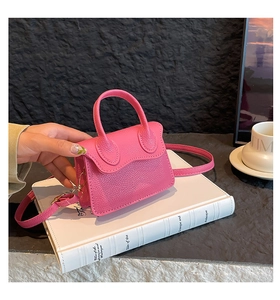Détail d'un mini sac à main rose grainé sur des livres avec boucles en métal doré
